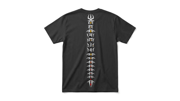 Trishul