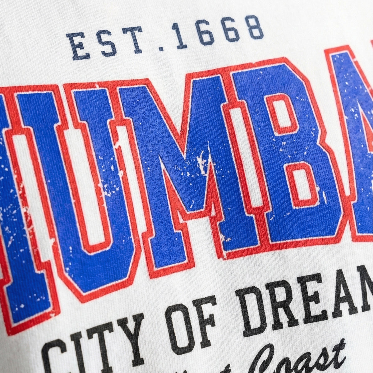 Mumbai – City of Dreamsoversized cotton t-shirt for men and women by BOMBAE STORE